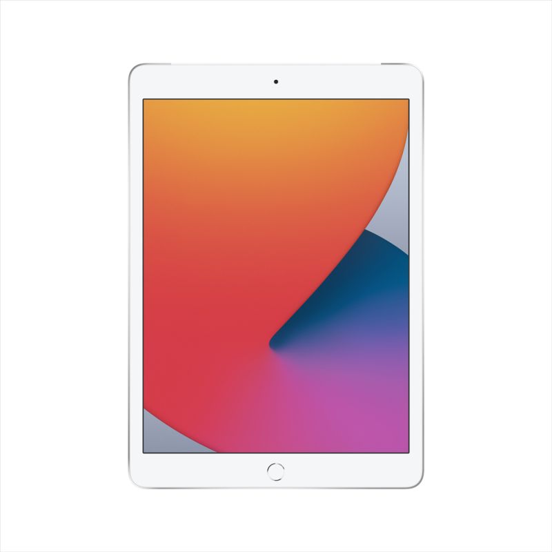 Apple iPad 10.2 9th Gen Wi-Fi + Cellular - 256GB - Silver - MK4H3X/A